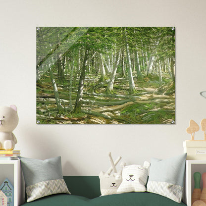 Old Windfall - 1982 - Neil Welliver Acrylic Print - 70x100 cm / 28x40″ inches