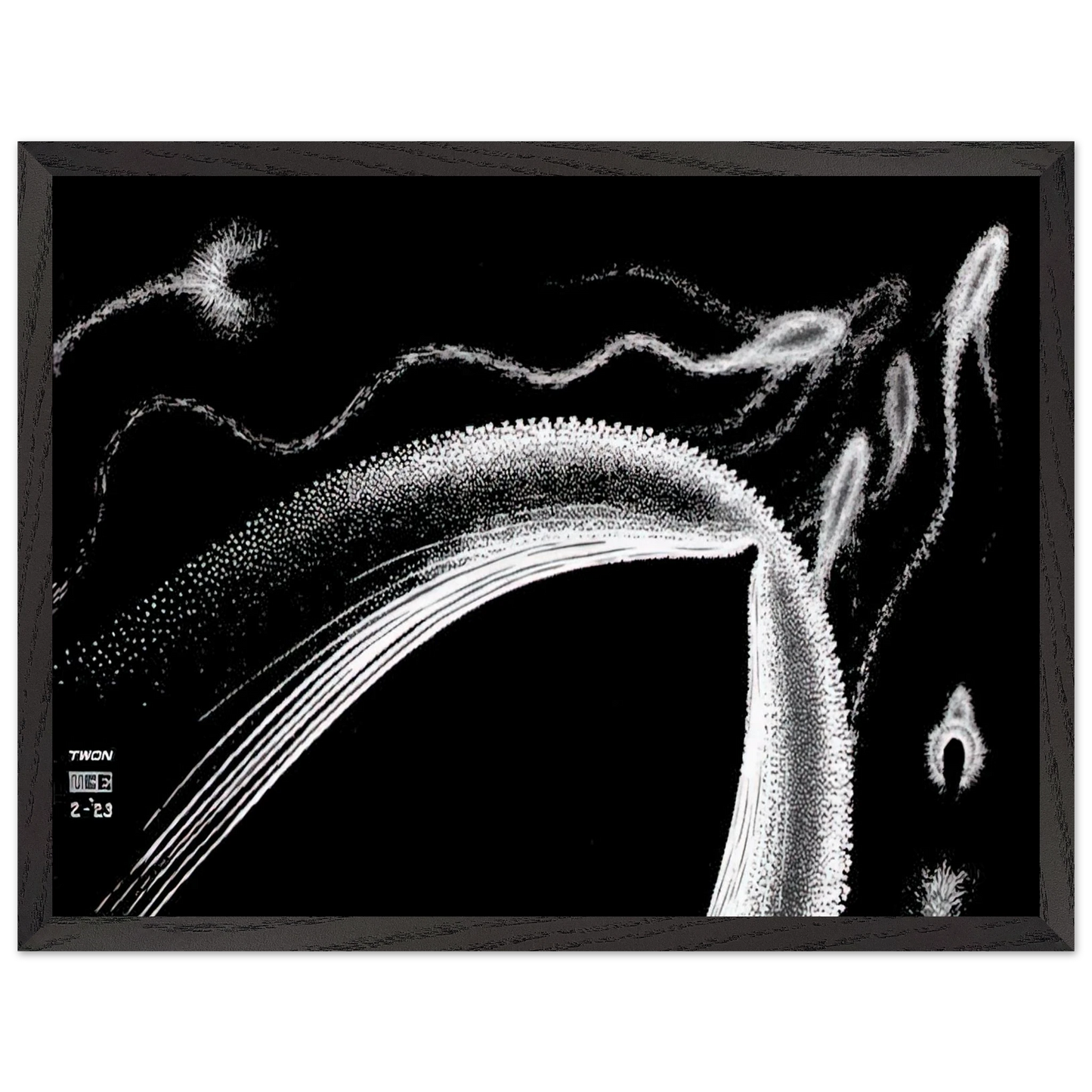 MC Escher - DOLPHINS Wall Art - 60x80 cm / 24x32 inches - Premium Wooden Framed Poster With Fine Art Paper - White frame