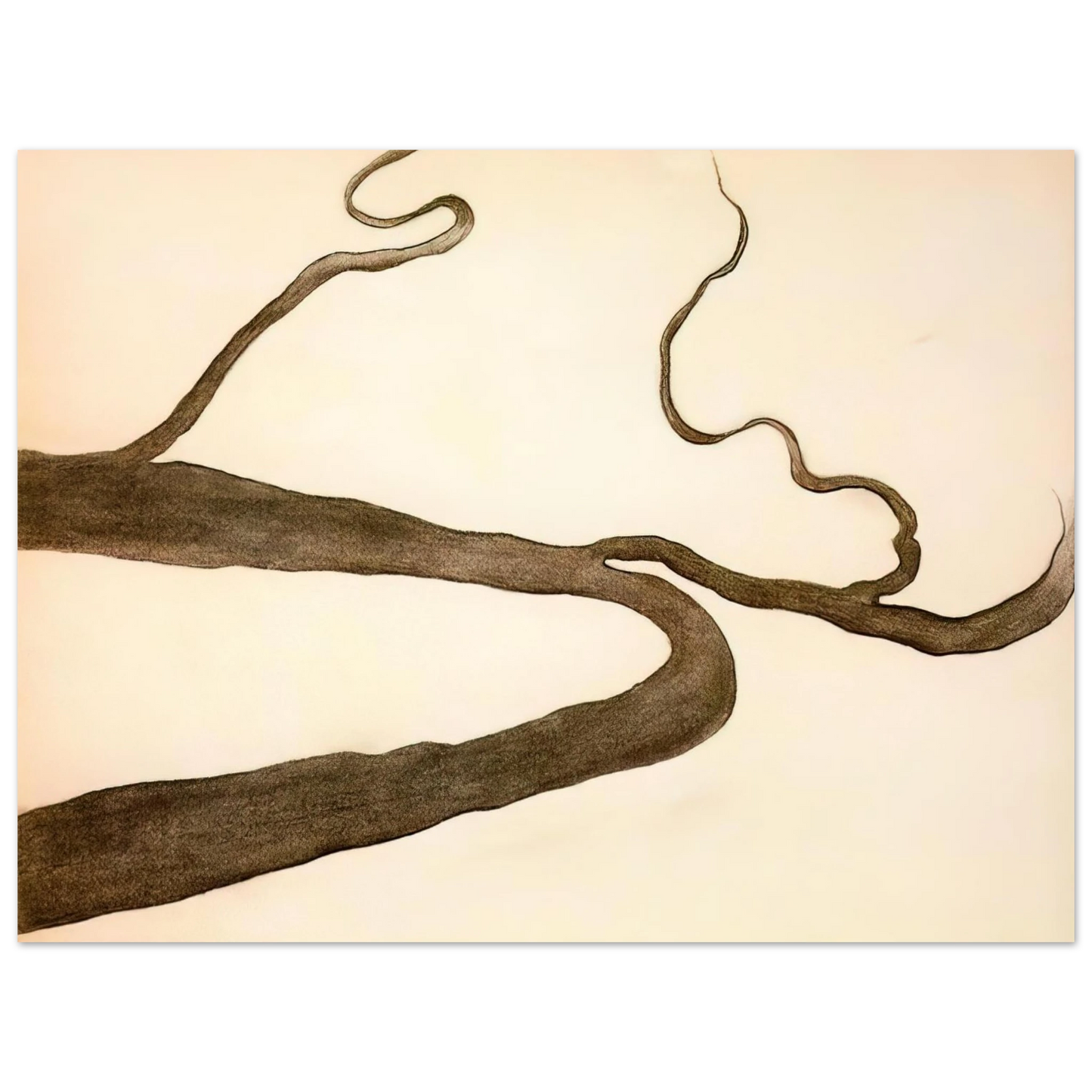 Georgia O'Keeffe - Drawing IX Fine Art Poster