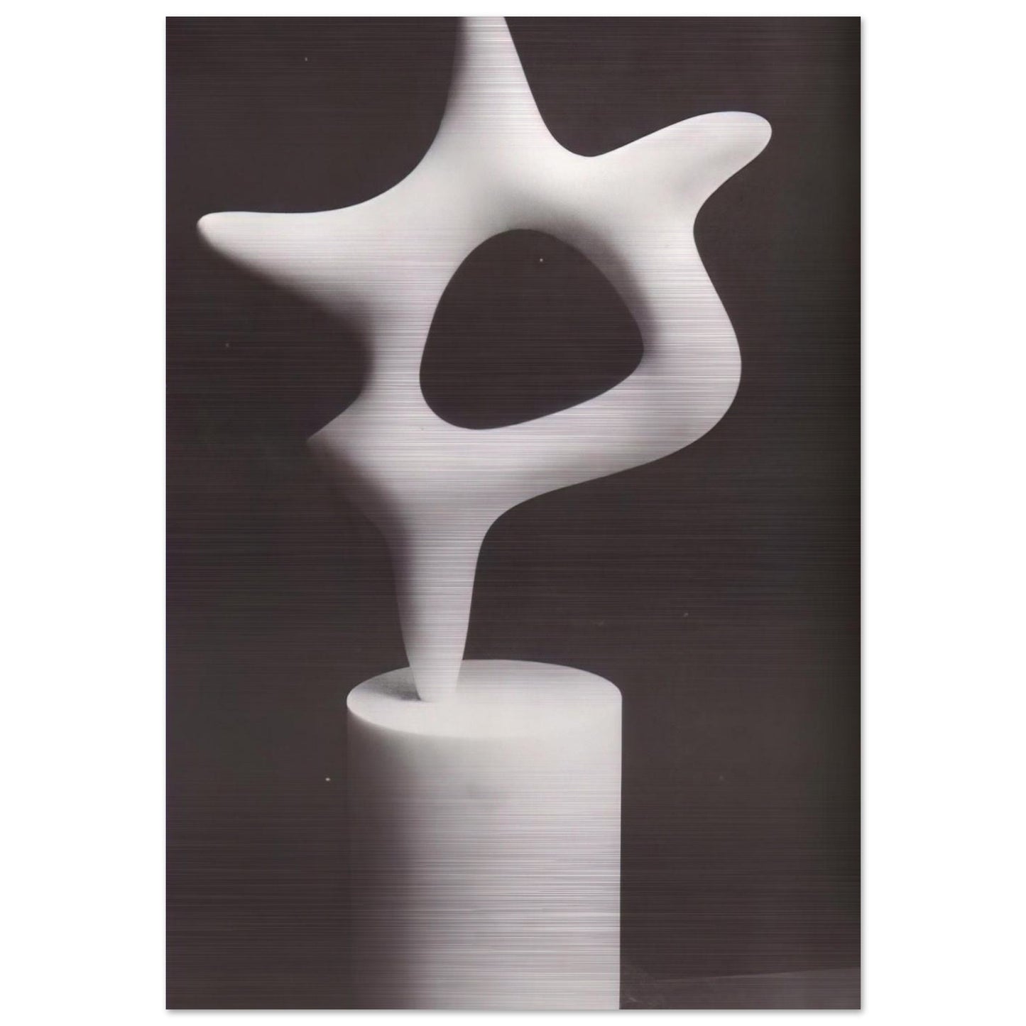 The Star - Jean Arp Brushed Aluminum Print - 70x100 cm / 28x40 inches | Jean Arp Aluminum Print | Jean Arp Prints