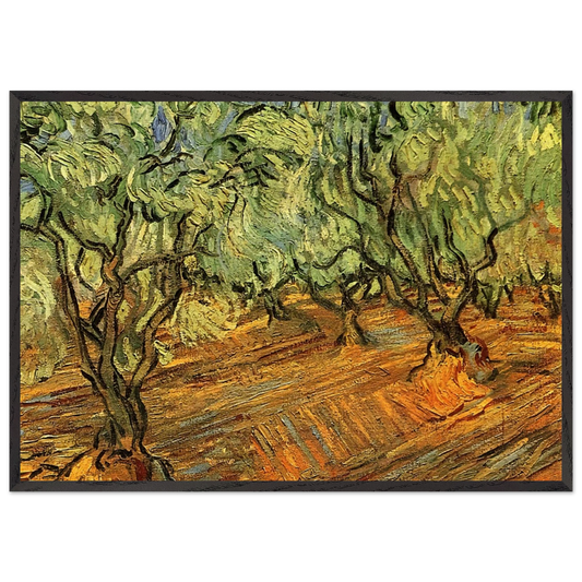 Olive Grove - Bright Blue Sky - Vincent van Gogh 70x100 cm / 28x40 inches Framed Art Print – Black Wooden Frame