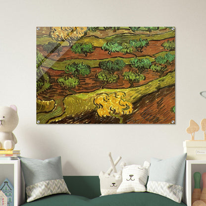 Olive Trees against a Slope of a Hill - Vincent van Gogh Acrylic Print - 70x100 cm / 28x40″ inches | Vincent van Gogh Wall Art | Vincent van Gogh Prints