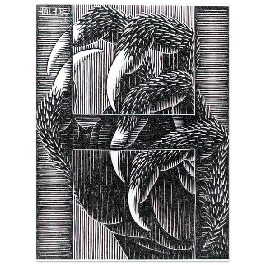 MC Escher - ESCHER (13) Wall Art - 21x29.7 cm / 8x12" - Fine Art Poster-canvas - -