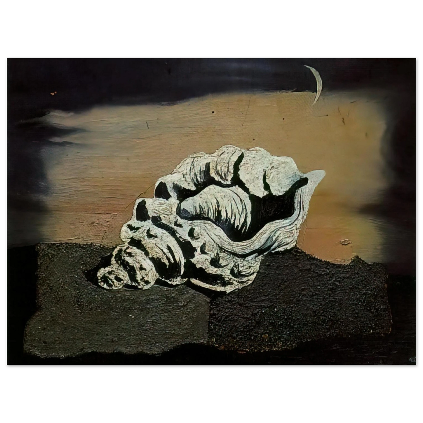 Salvador Dali - SHELL  75x100 cm / 30x40inches Fine Art Poster
