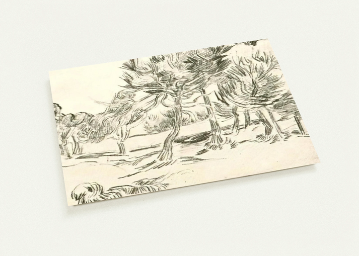 A Group of Pine Trees By Vincent van Gogh Pack of 10 Post Cards | Vincent van Gogh Post Cards | A6 (10.5 x 14.8 cm) - 4.1 x 5.8 inches