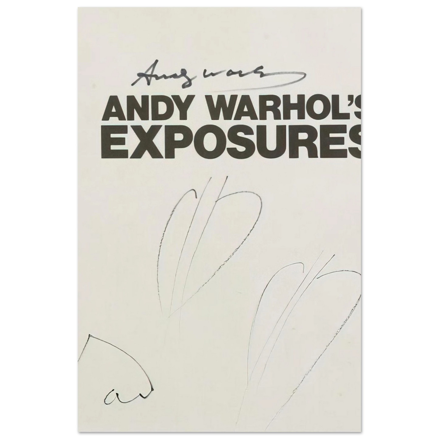 Andy Warhol - Butterfly Hearths  Andy Warhol's Exposures  Fine Art Poster