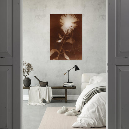 Untitled [flower] - Laszlo Moholy-Nagy Brushed Aluminum Print - 70x100 cm / 28x40 inches | Laszlo Moholy-Nagy Aluminum Print | Laszlo Moholy-Nagy Prints