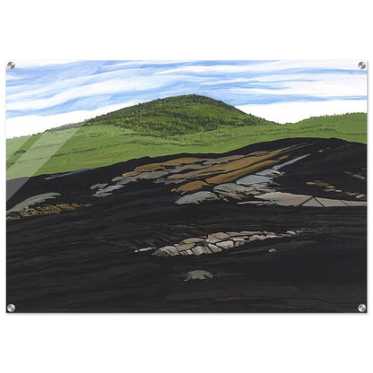 Blueberry Burn Morey's Hill - 1997 - Neil Welliver Acrylic Print - 70x100 cm / 28x40″ inches