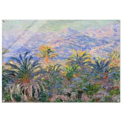 Palm Trees at Bordighera - claude monet Acrylic Print - 70x100 cm / 28x40″ inches