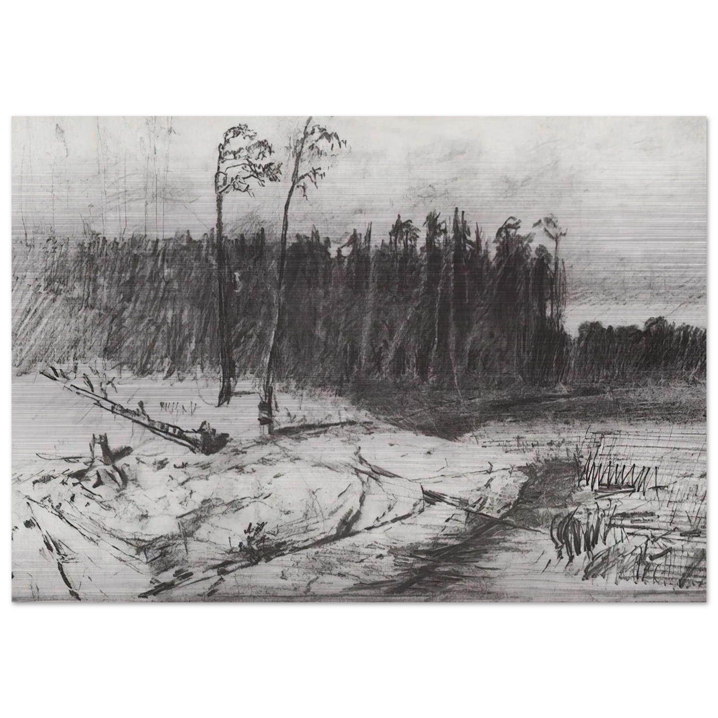 Forest near the water - Arkhyp Kuindzhi Brushed Aluminum Print - 70x100 cm / 28x40 inches | Arkhyp Kuindzhi Aluminum Print | Arkhyp Kuindzhi Prints