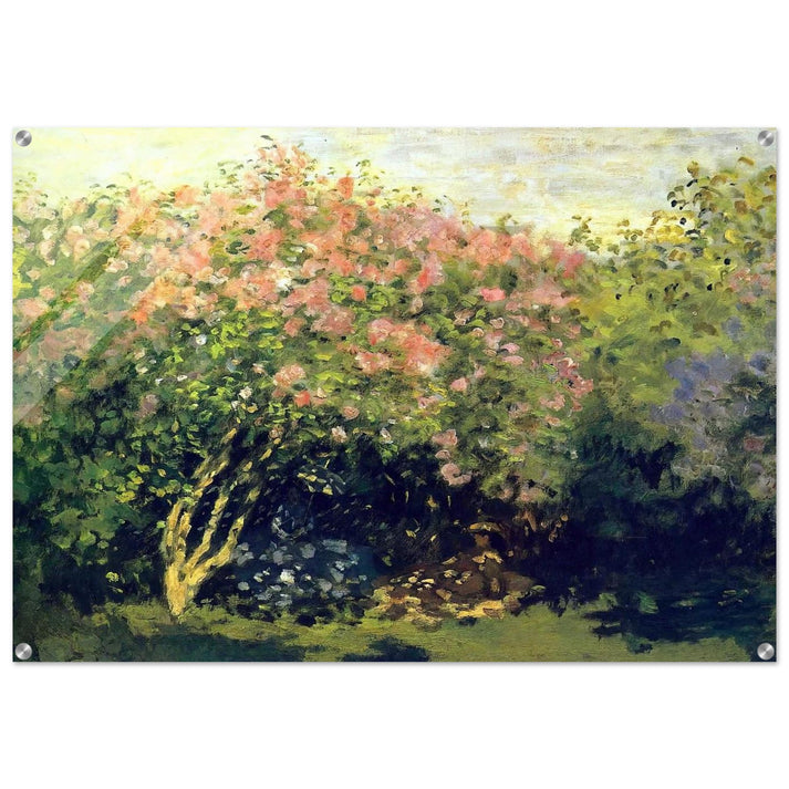 Lilacs in the Sun - claude monet Acrylic Print - 70x100 cm / 28x40″ inches