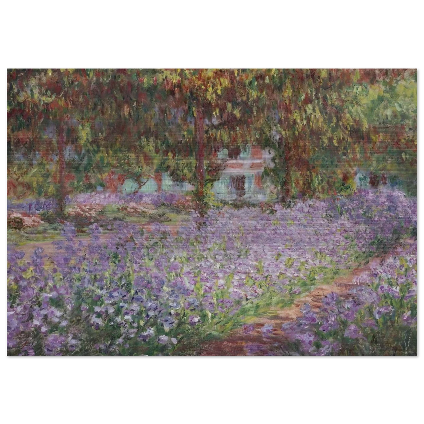 Irises in Monet's Garden - claude monet Brushed Aluminum Print - 70x100 cm / 28x40 inches | claude monet Aluminum Print | claude monet Prints