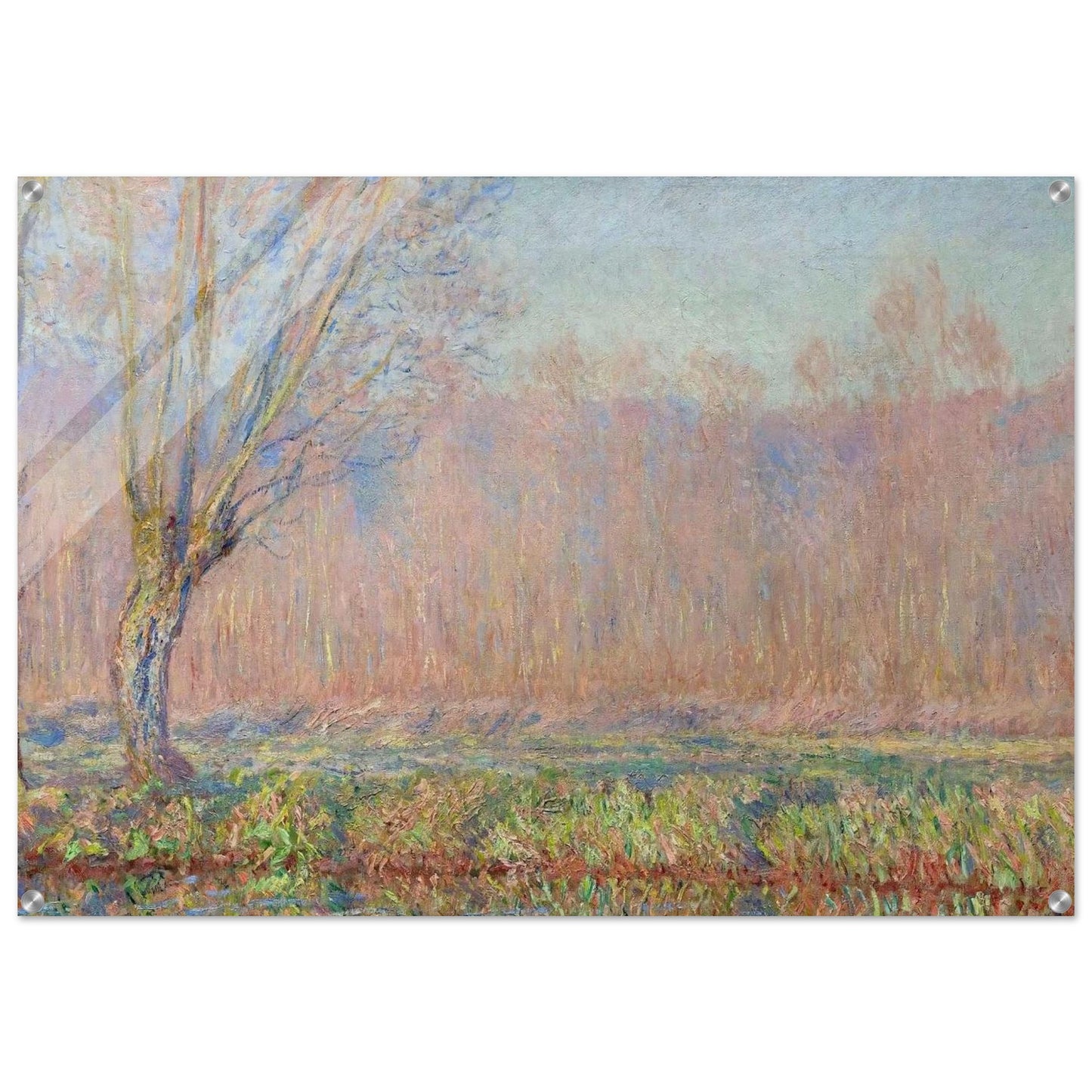 The Willows - claude monet Acrylic Print - 70x100 cm / 28x40″ inches | claude monet Wall Art | claude monet Prints