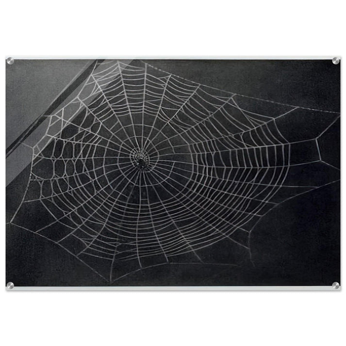 UNTITLED SPIDER WEB 2000 - Vija Celmins Acrylic Print - 70x100 cm / 28x40″ inches | Vija Celmins Wall Art | Vija Celmins Prints
