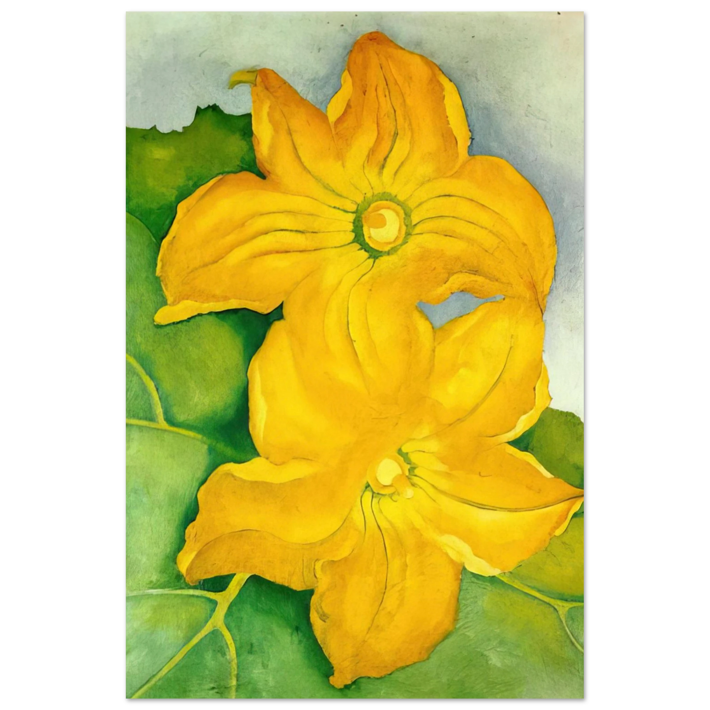 Georgia O'Keeffe - Squash Blossoms I Fine Art Poster