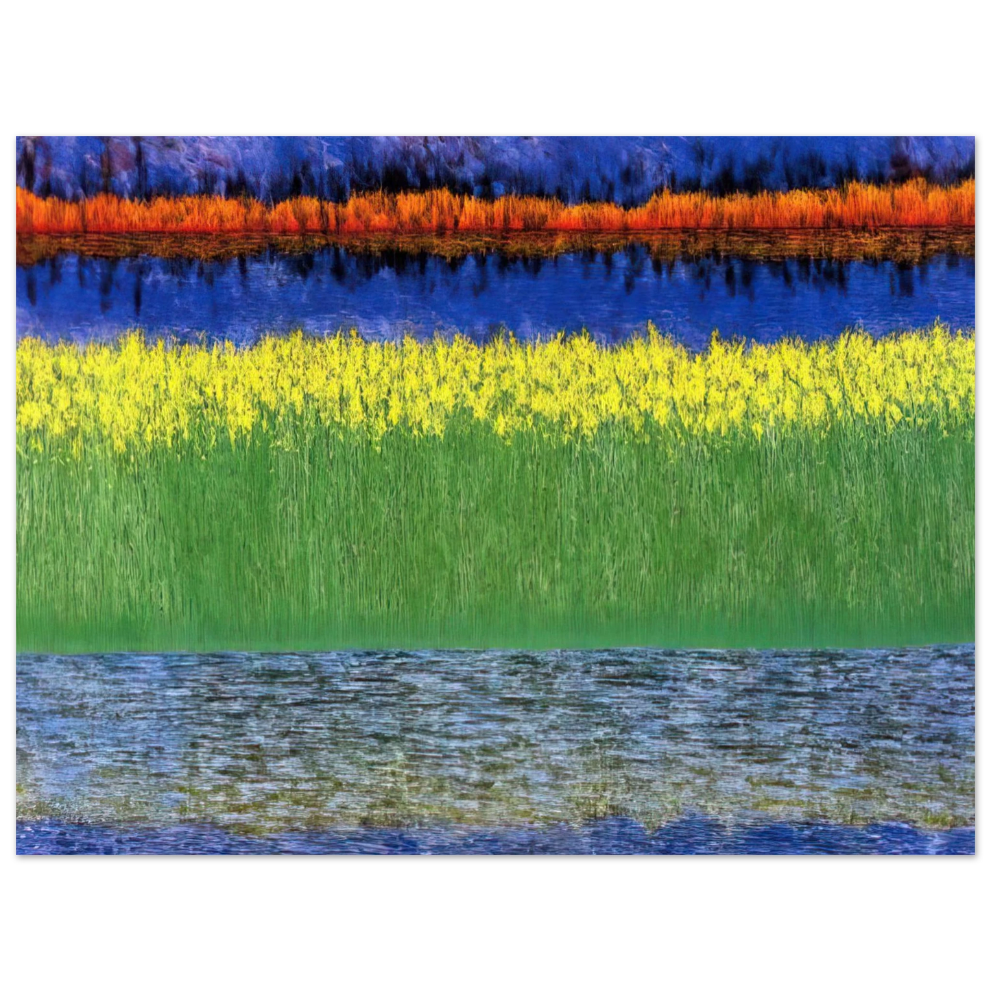Jimmy Ernst - Sea of Grass - 1982  75x100 cm / 30x40inches Fine Art Poster